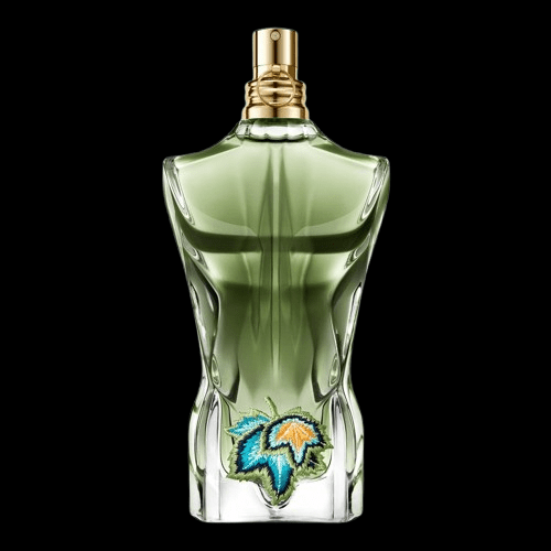 JEANS GOLTIR FRAGRANCE - SUPPLIER - Theplugcrew